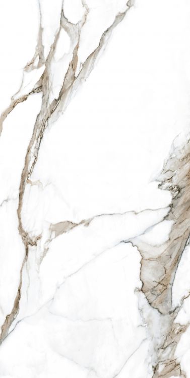 Calacatta Fantasy Topo Polished 24 x 48