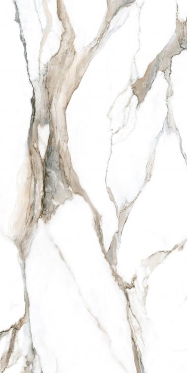 Calacatta Fantasy Topo Polished 24 x 48