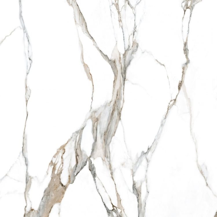 Calacatta Fantasy Topo Polished 48 x 48