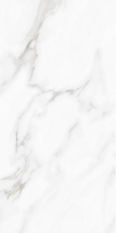 Carenza Bianca Matte 12 x 24