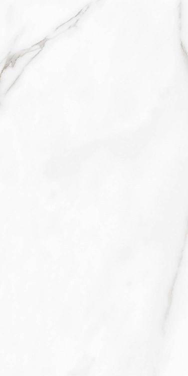 Carenza Bianca Matte 12 x 24