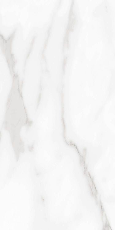 Carenza Bianca Matte 12 x 24