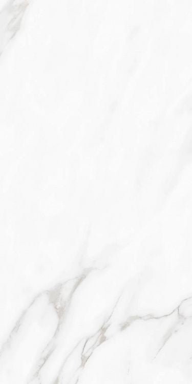 Carenza Bianca Polished 12 x 24 - Hexagon Interiors