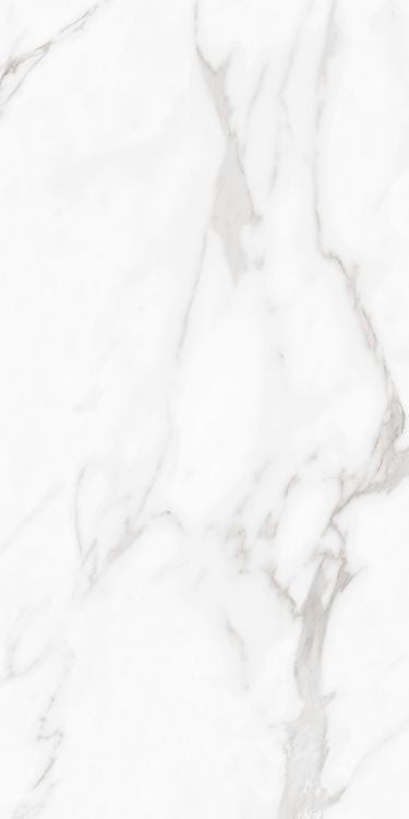 Carenza Bianca Polished 24 x 48 - Hexagon Interiors