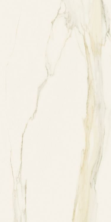 Classici Calacatta Gold Glossy 12 x 24