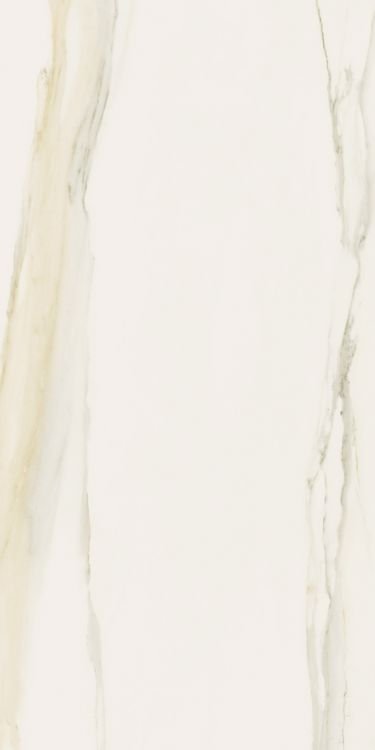 Classici Calacatta Gold Glossy 12 x 24 - Hexagon Interiors