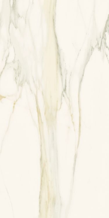 Classici Calacatta Gold Glossy 12 x 24