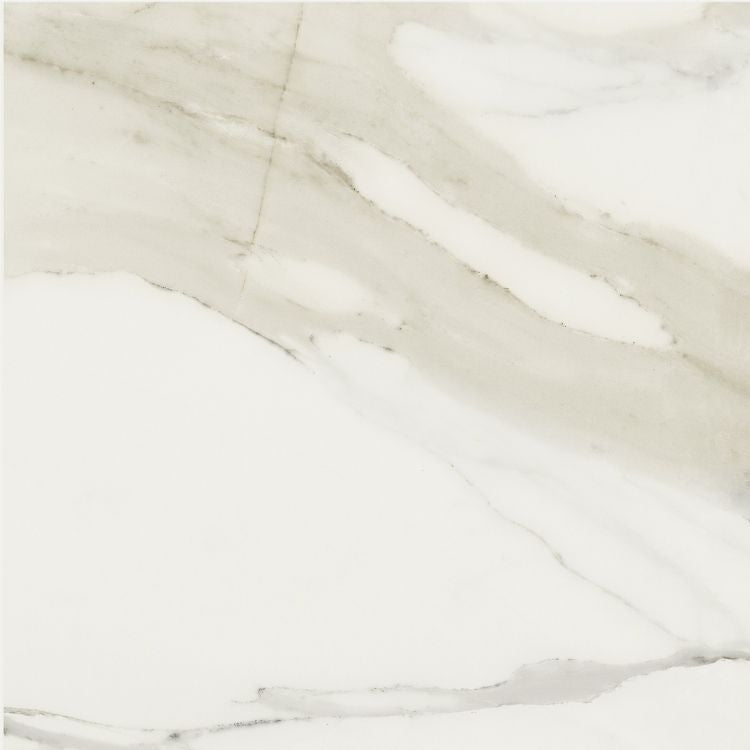 Classici Calacatta Gold Glossy 24 x 24