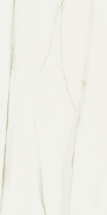 Classici Calacatta Gold Glossy 24 x 48