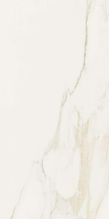 Classici Calacatta Gold Glossy 24 x 48