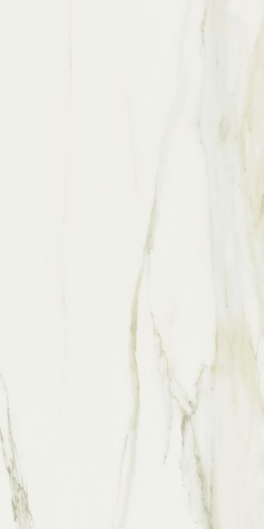 Classici Calacatta Gold Glossy 24 x 48 - Hexagon Interiors