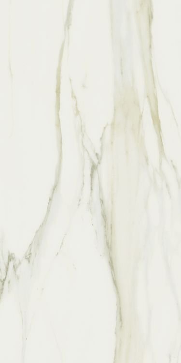 Classici Calacatta Gold Glossy 24 x 48