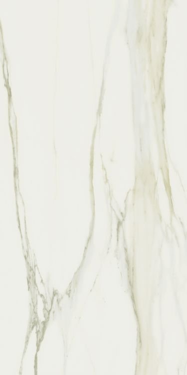 Classici Calacatta Gold Glossy 32 x 71