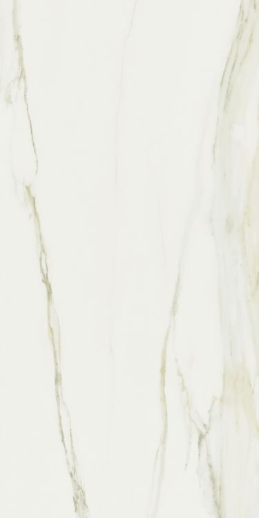 Classici Calacatta Gold Glossy 32 x 71 - Hexagon Interiors