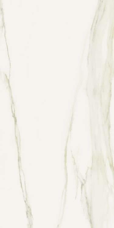 Classici Calacatta Gold Glossy 32 x 71