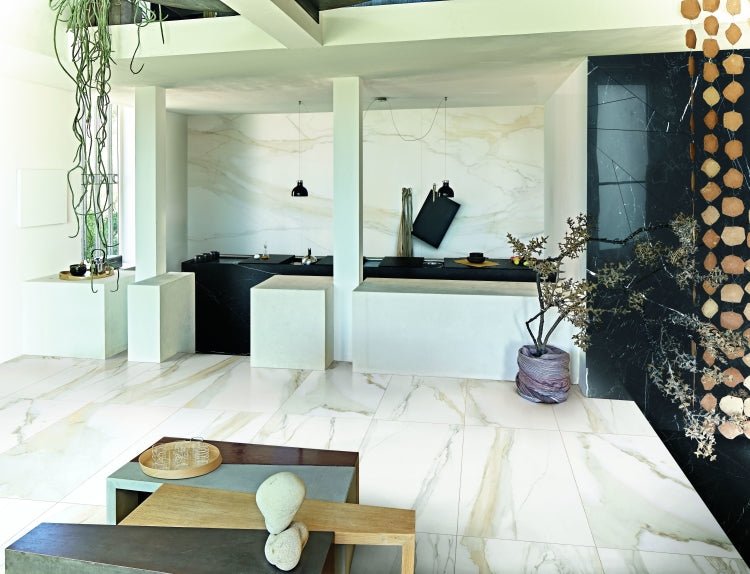 Classici Calacatta Gold Matte 12 x 24