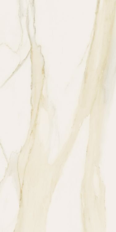 Classici Calacatta Gold Matte 12 x 24 - Hexagon Interiors