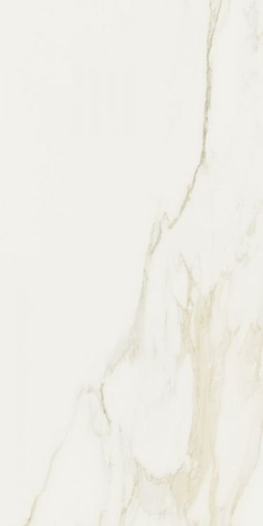 Classici Calacatta Gold Matte 24 x 48