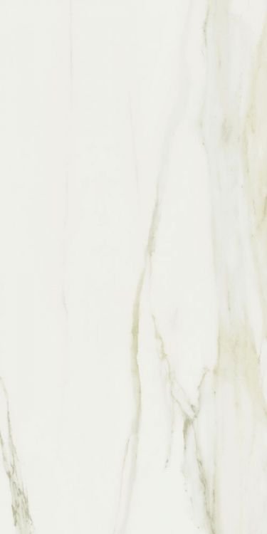 Classici Calacatta Gold Matte 24 x 48