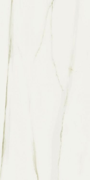 Classici Calacatta Gold Matte 24 x 48