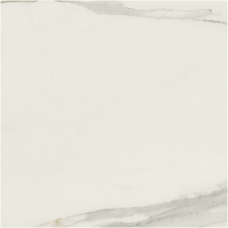 Classici Calacatta Gold Matte 48 x 48