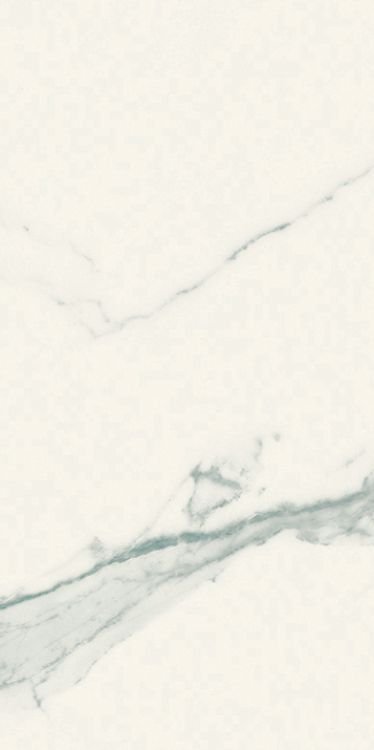 Classici Statuario Glossy 12 x 24 - Hexagon Interiors