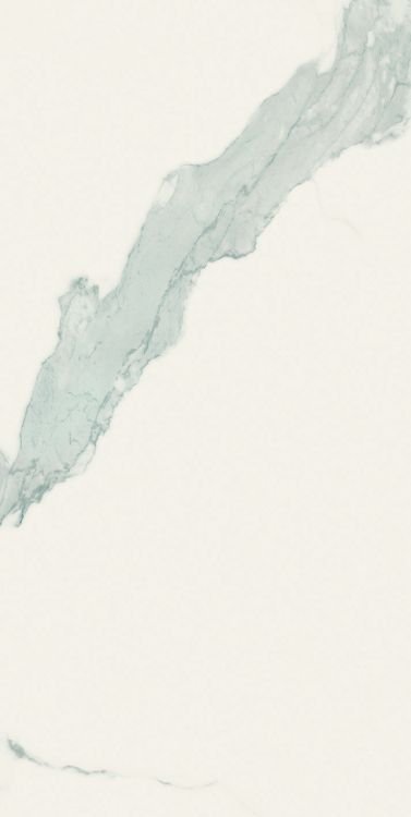 Classici Statuario Soft 24 x 48 - Hexagon Interiors