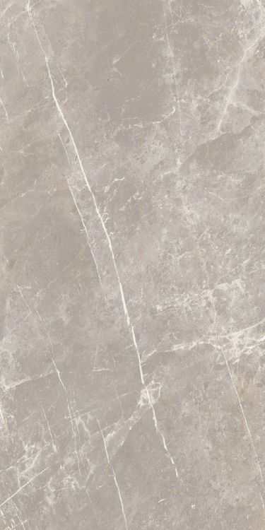 Dolomia Grey Luc 24 x 48 - Hexagon Interiors