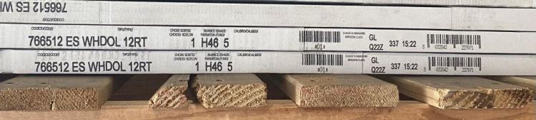 Dolomia White Nat 24 x 48 - Hexagon Interiors