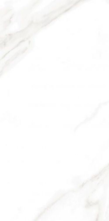 EC Calacatta Gold Matte 12 x 24