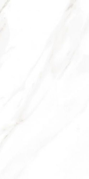 EC Calacatta Gold Matte 12 x 24