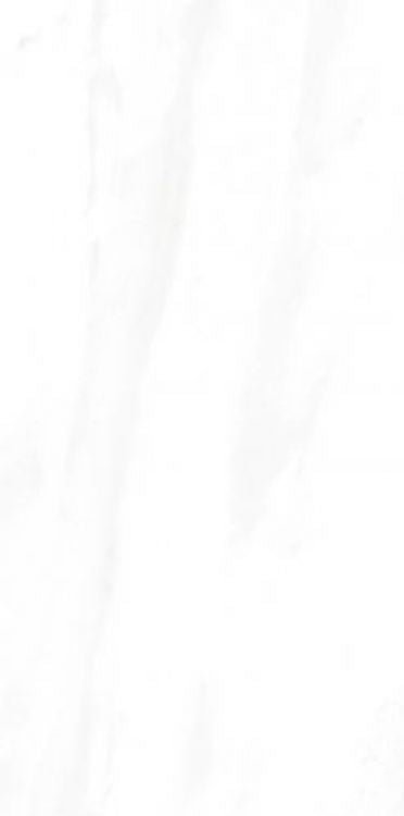 EC Calacatta Gold Matte 12 x 24