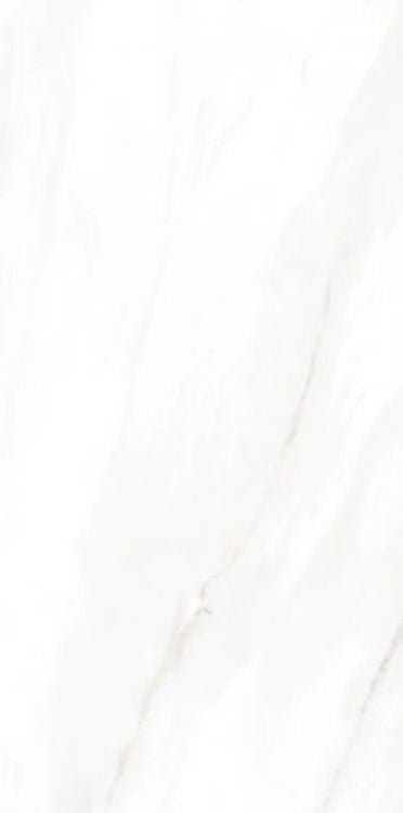 EC Calacatta Gold Matte 12 x 24