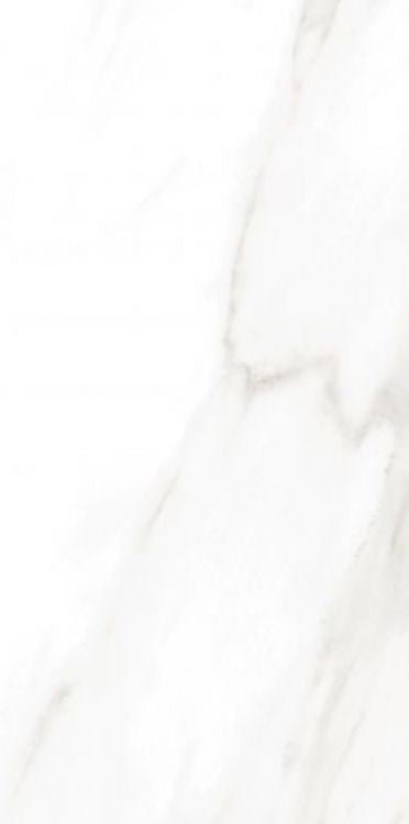 EC Calacatta Gold Matte 12 x 24