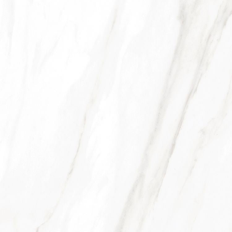 EC Calacatta Gold Matte 24 x 24