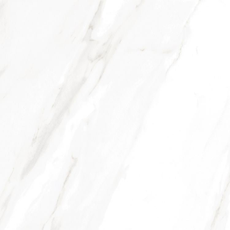 EC Calacatta Gold Matte 24 x 24