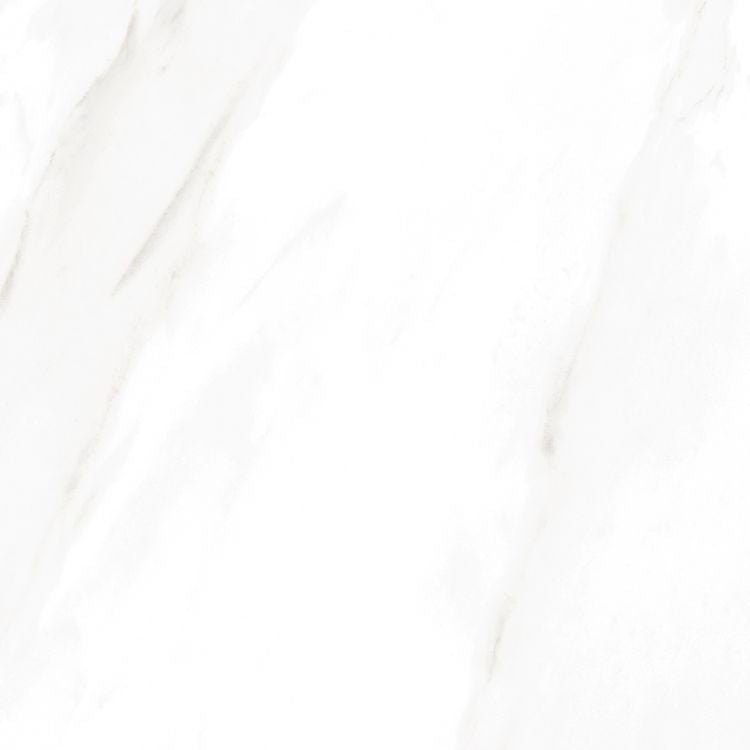 EC Calacatta Gold Matte 24 x 24