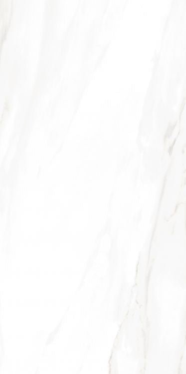 EC Calacatta Gold Matte 24 x 48 - Hexagon Interiors