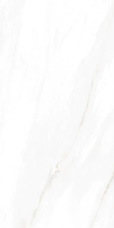 EC Calacatta Gold Polished 12 x 24