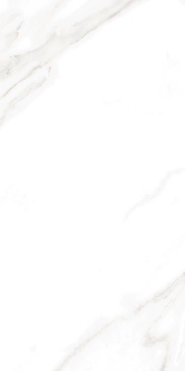 EC Calacatta Gold Polished 12 x 24