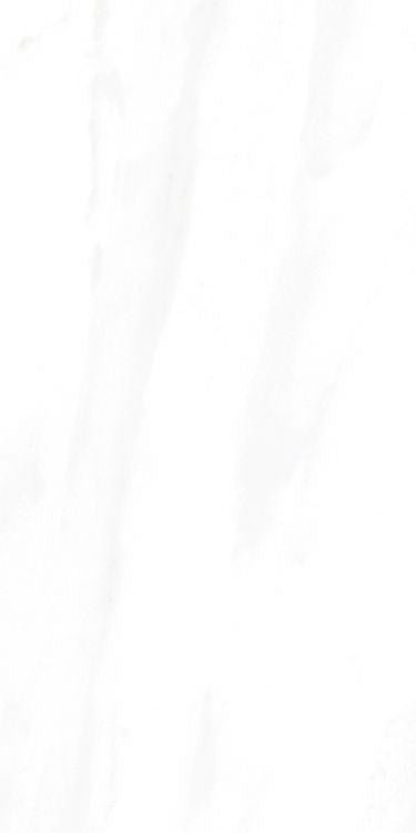 EC Calacatta Gold Polished 12 x 24