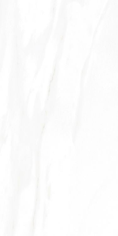 EC Calacatta Gold Polished 12 x 24