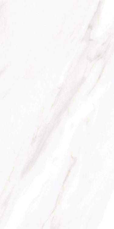 EC Calacatta Gold Polished 12 x 24