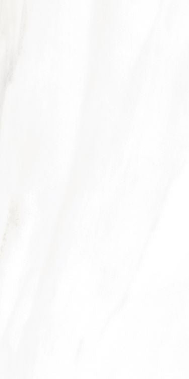 EC Calacatta Gold Polished 12 x 24