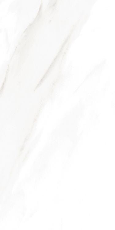 EC Calacatta Gold Polished 12 x 24