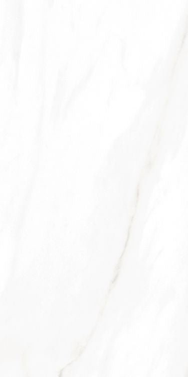 EC Calacatta Gold Polished 12 x 24