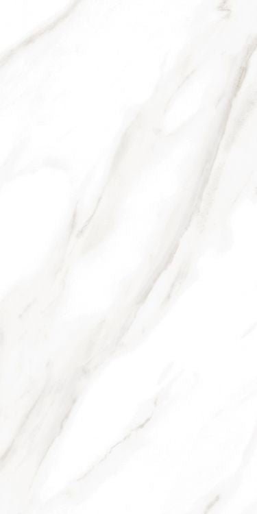 EC Calacatta Gold Polished 12 x 24