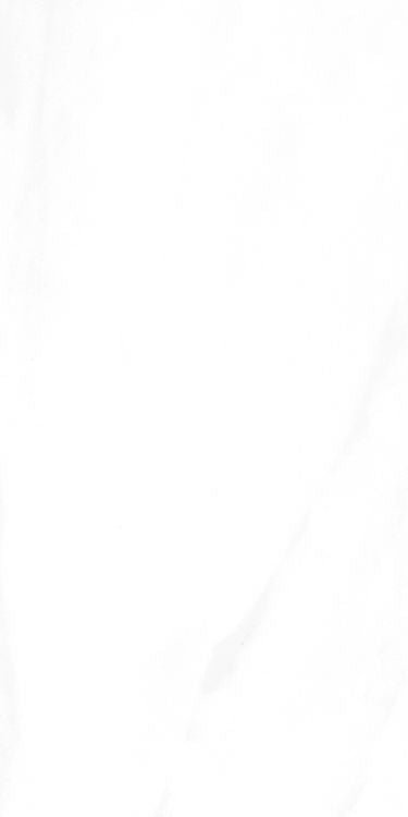 EC Calacatta Gold Polished 12 x 24