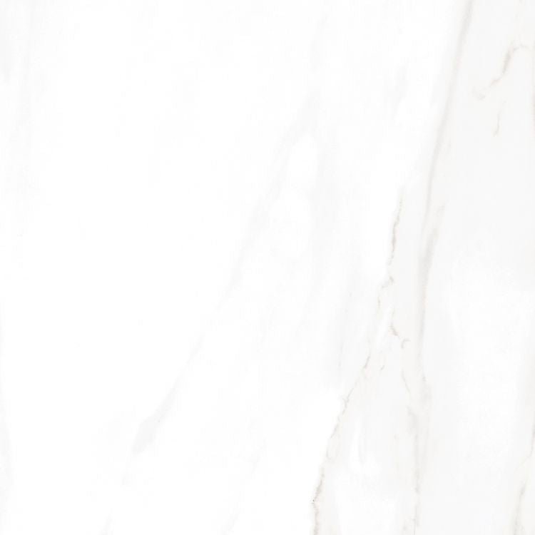 EC Calacatta Gold Polished 24 x 24