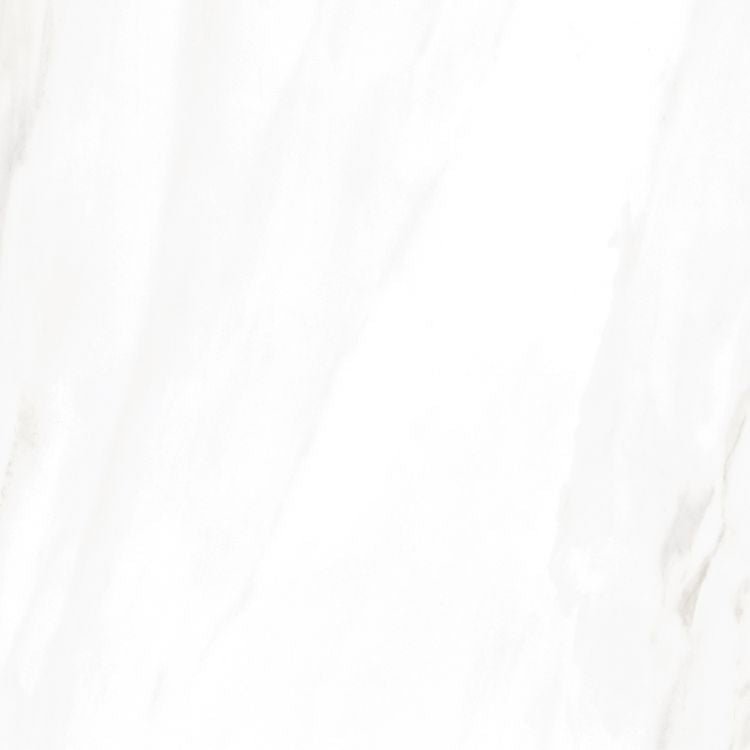 EC Calacatta Gold Polished 24 x 24